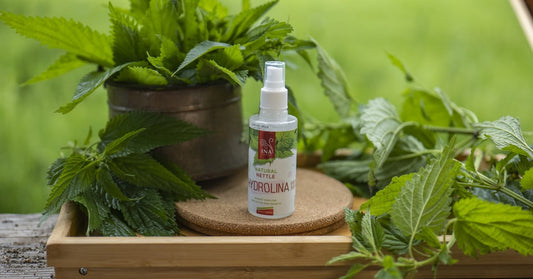 Laukinė dilgėlė Urtica dioica ir Laukinių dilgėlių vanduo Hydrolina