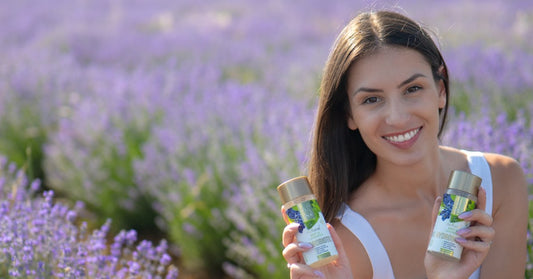 Levanda Lavandula angustifolia ir Hydrobiotic Levanda ir Mėta levandų lauke