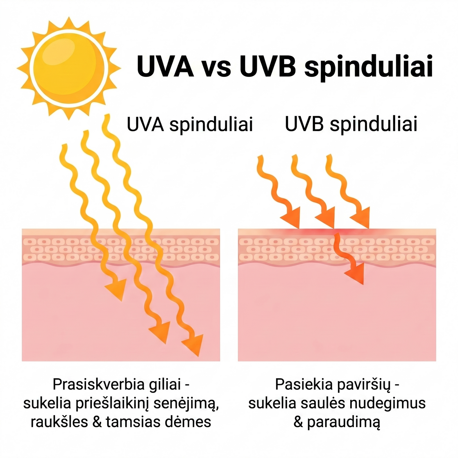 spf LT infographic